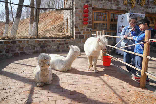 ��ů����������ɰ�����«����«���������ܴ���ĵ�����