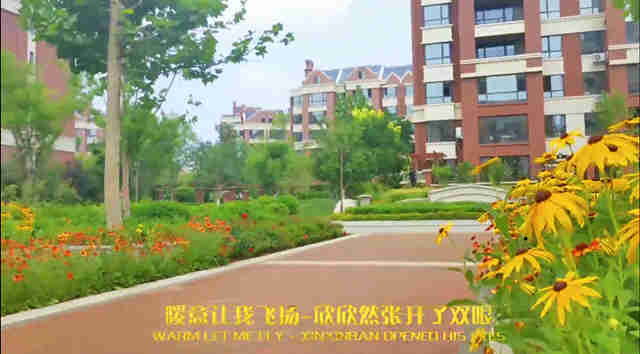 ���ⰻȻ �� �ع�����������ů�� �� ��������